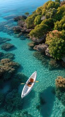 Top View Of A White Kayak With Orange Oars Gliding On A Shallow Turquoise Coral Reef Water With Lush Green Vegetation On The Rocky Shoreline