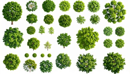 Large Top View Tree Collection for Architectural Rendering