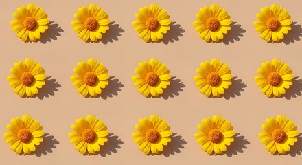 Bright Yellow Daisy Flowers Arranged in Pattern on Light Background
