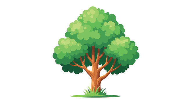 Illustration of a lush green tree, showcasing its vibrant foliage and sturdy trunk in detail