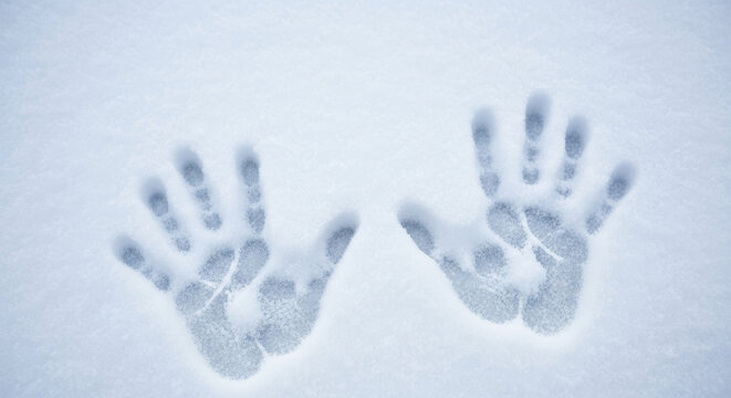 Handprints in snow showcase human touch on cold winter day. Handprints express connection with nature, contrasting warmth with cold winter. Concept of handprints in snow,