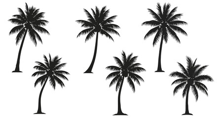 Fototapeta premium Silhouette of a group of palm trees, evoking tropical vibes and summer vacation