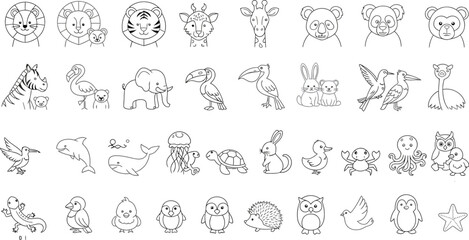 Obraz premium Animal lion tiger elephant bird whale penguin owl drawing illustration zoo
