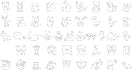 Animals mammals wildlife nature zoo pets farm forest ocean rainforest cute