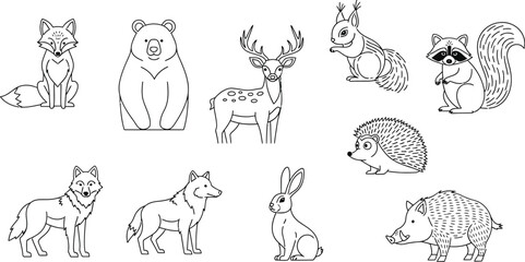 Forest animals woodland creatures fox bear deer squirrel raccoon hedgehog wolf hare