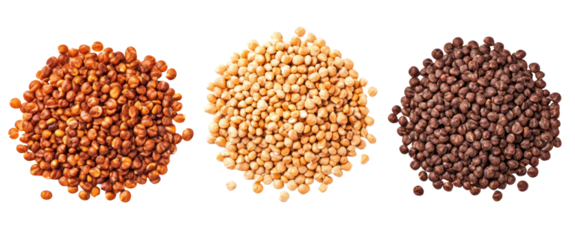 Three Piles Of Different Colors Grains on a Transparent Background