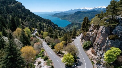 Scenic Winding Mountain Road Leads to a Vast Blue Lake Surrounded by Lush Green Forests and Snow-Capped Peaks Under a Clear Blue Sky