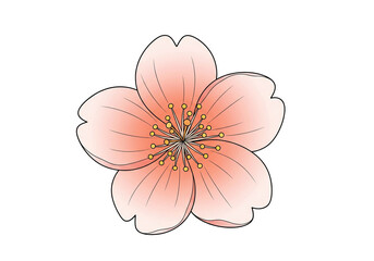 Pink Cherry Blossom PNG Clip Art - Transparent Sakura Flower Vector Illustration