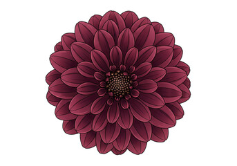 Burgundy Dahlia Flower PNG Clip Art - Transparent Dark Red Vector Illustration