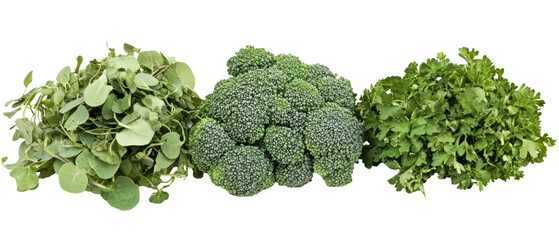 Assortment of Green Vegetables on Transparent Background Broccoli Kale and Watercress Displayed with Detailed Texture