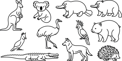 Australian animals kangaroo koala platypus wombat emu dingo cockatoo crocodile echidna
