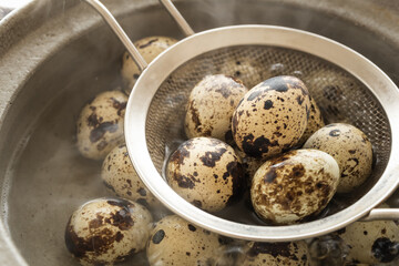 うずら卵を茹でる　うずらの卵のゆで卵