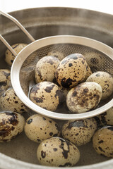 うずら卵を茹でる　うずらの卵のゆで卵