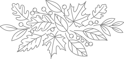 Autumn leaves fall foliage maple oak berries nature seasonal decoration design art