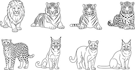 Obraz premium Lion tiger cheetah leopard lynx cougar feline mammal wildlife zoo animal