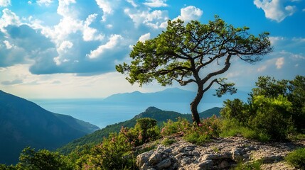 Obraz premium A lone tree stands on a cliff overlooking a mountain range with blue sky and white clouds.