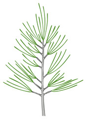 Obraz premium Stylized Pine Tree Illustration with Green Needles and Grey Trunk