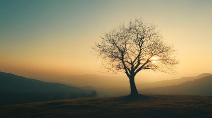 A lone tree stands silhouetted against a vibrant sunset sky, with rolling hills in the background.