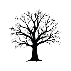 Silhouette of a Deciduous Tree in Winter with Bare Branches Against White, leafless dead tree silhouette vector illustration