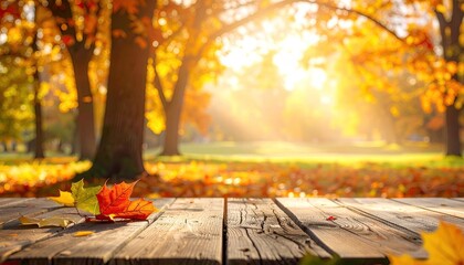 Autumn park scene with wooden table (1)