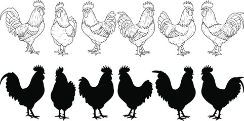 Rooster illustration set, detailed and silhouette poultry vector, farm animal graphic, black and white chicken design, isolated livestock pose collection