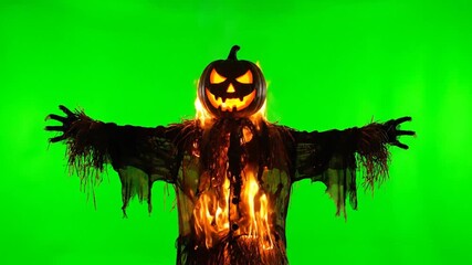 Halloween scarecrow with glowing jack-o'-lantern head, vibrant green screen scene