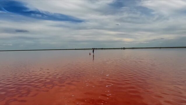 Wide panoramic shot of a pink salt lake with light ripples. On the horizon, people are walking in shallow water. A calm landscape and a rare natural phenomenon (the coloration of salt marshes).