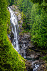 Lower Wallace Falls Surrounded by Vibrant Moss and Forest