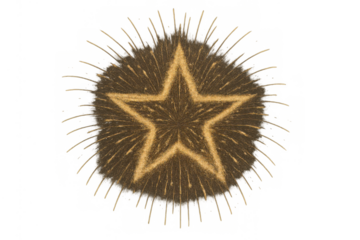 Golden star forming from sparkling glitter explosion, celebrating success, awarding achievement