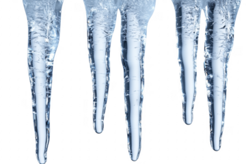 Frozen icicles hanging down isolated on a transparent background