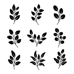 Collection of nine black silhouette leaf branches on a white background