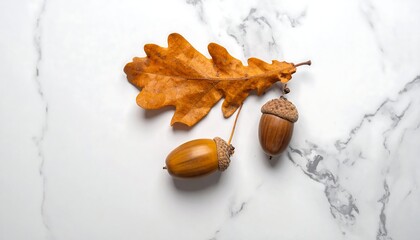 Autumn arrangement oak leaf, acorns arranged on a white marble surface