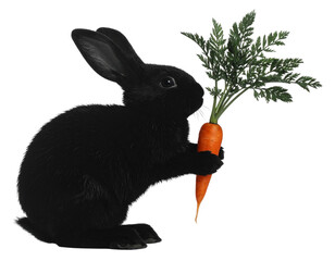 Charming Black Bunny Silhouette Holding a Fresh Carrot, Standing Pose, isolated