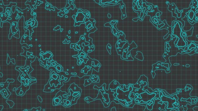seamless pattern with flowers