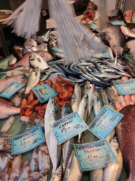 Messina, Italy - September 23, 2025: Italian fish market with many different fresh fishes