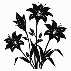 hemerocallis bloemen flower silhouette vector on white background
