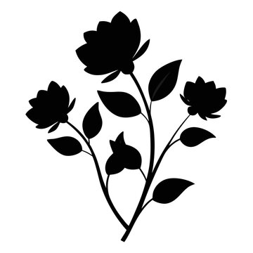  hebe delicate  silhouette on white background