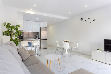 Cozy modern apartment with open-plan kitchen, dining space, and minimalist living area