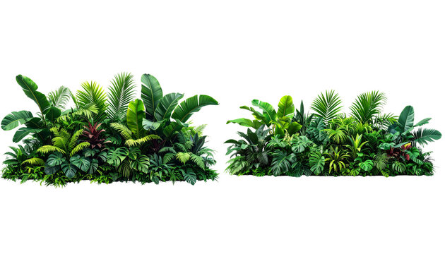 Green grass and flowers border with natural evergreen fir branch decoration