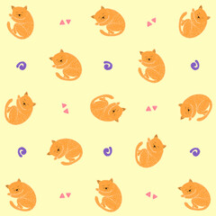 Cat pattern 