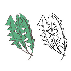 手描きのなずな