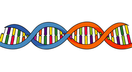 2D illustration of a colorful DNA double helix with multicolored strands on a white background.