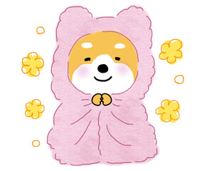 暖かいピンクの毛布に包まり、ぬくぬくと幸せなしばいぬ