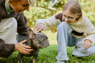 Caucasian middle aged woman and Caucasian child girl crouching on grass petting French Bulldog...