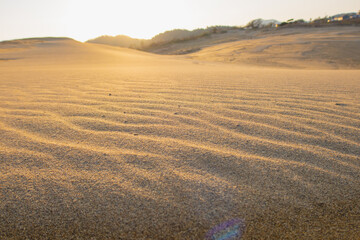 砂漠の砂と風紋（日本の鳥取の鳥取砂丘）