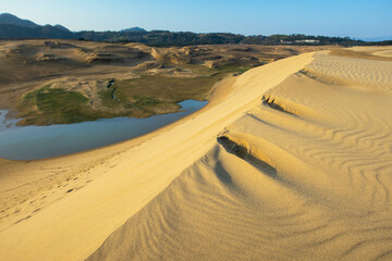 日本の鳥取の鳥取砂丘の砂丘とオアシスの風景