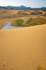 日本の鳥取の鳥取砂丘の砂丘の風紋とオアシスの風景
