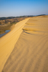 日本の鳥取の鳥取砂丘の砂丘の砂の山の風紋とオアシスの風景