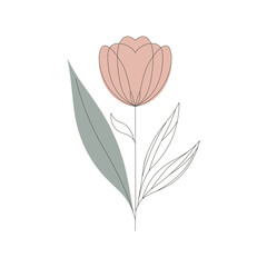 Botanical Line Drawing with Neutral Colors