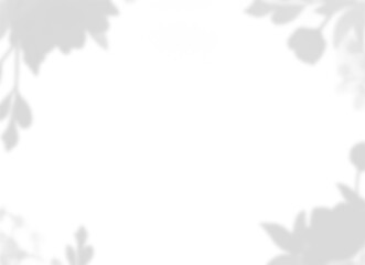 Natural Assorted Leaf Shadow Frame Overlay on Transparent Background